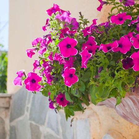 Thymis Home Skiathos Exterior foto